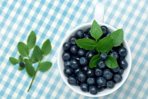 藍莓什么品種好