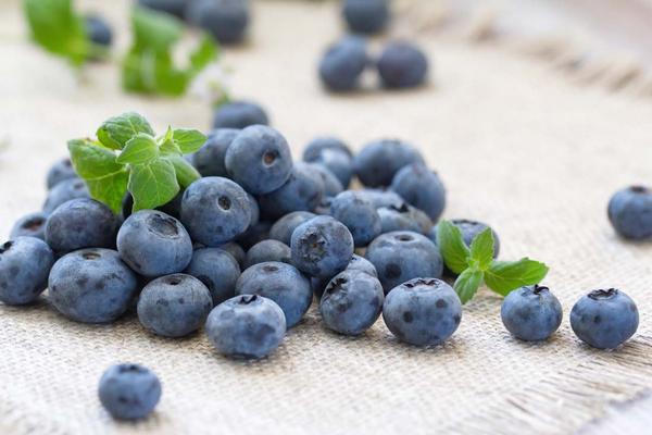 藍莓什么品種好