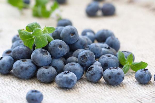 藍(lán)莓什么時(shí)候成熟