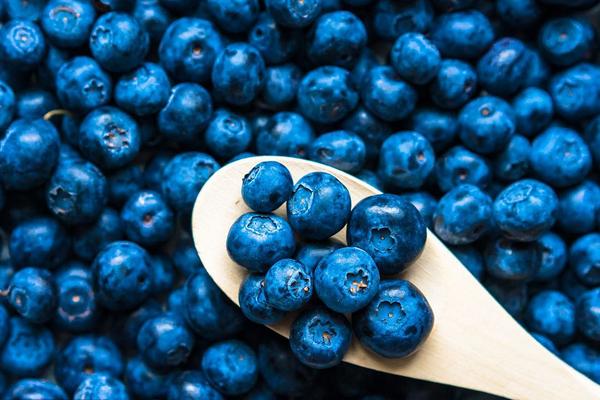 藍(lán)莓什么時(shí)候成熟