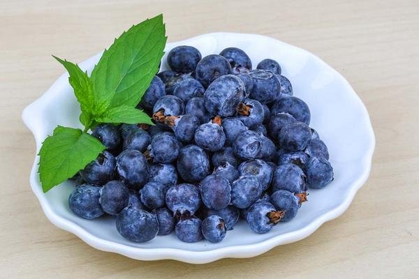 藍(lán)莓什么時(shí)候成熟