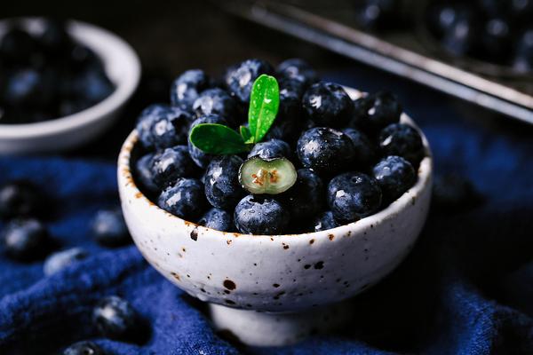 藍(lán)莓什么時(shí)候成熟