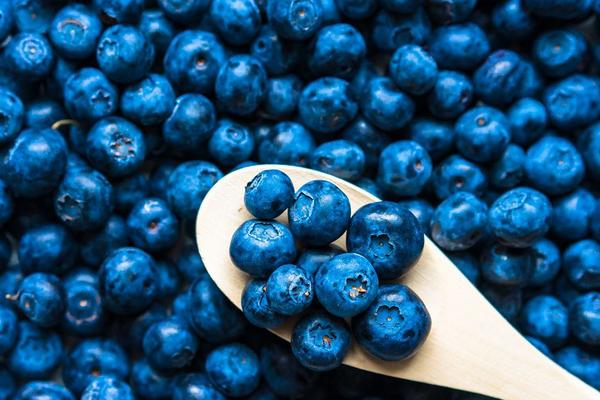 藍莓營養價值