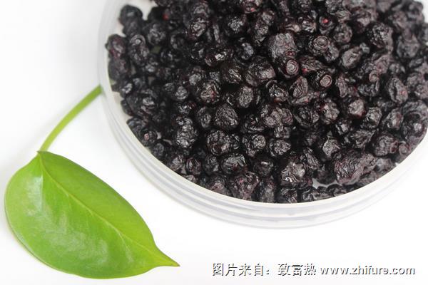 藍(lán)莓干功效與作用