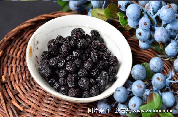 藍莓干和藍莓的營養價值一樣嗎