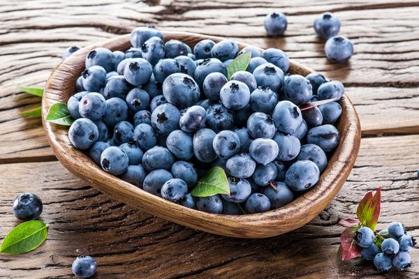 什么是藍(lán)莓