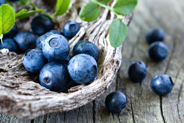 藍莓功效與作用及禁忌