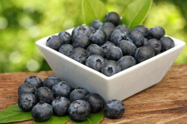 新鮮藍莓價格多少錢一斤