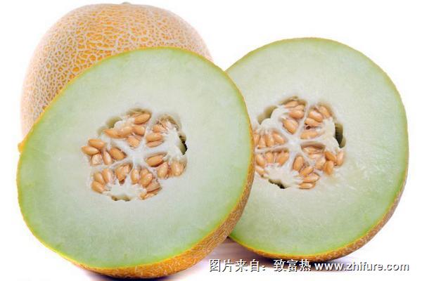 甜瓜功效與作用及禁忌