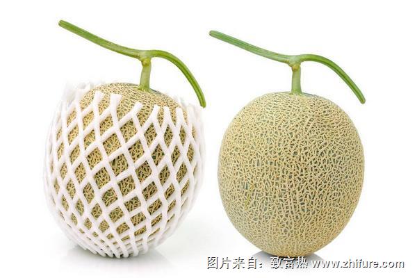 香瓜和甜瓜有哪些區別