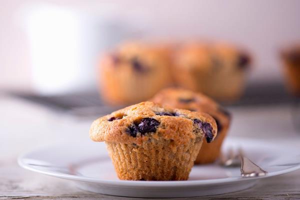 孕婦可以吃藍莓干嗎