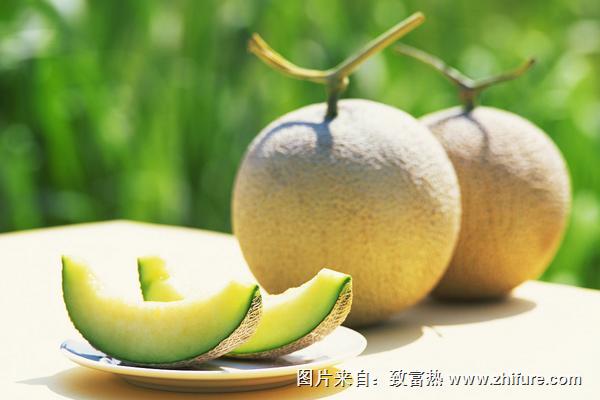 甜瓜價格多少錢一斤