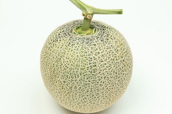 甜瓜價格多少錢一斤