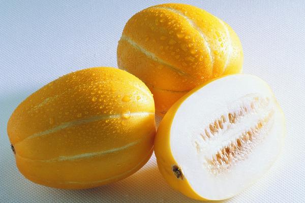 甜瓜價格多少錢一斤