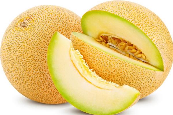 甜瓜價格多少錢一斤