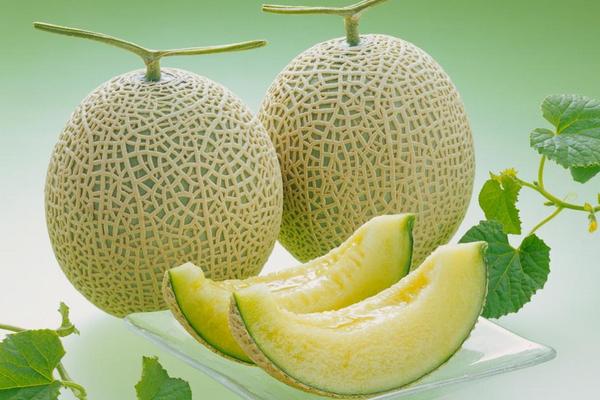 甜瓜價格多少錢一斤