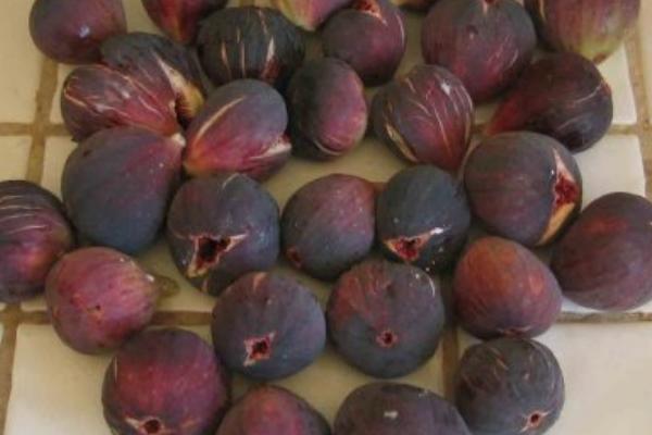 無(wú)花果的皮能吃嗎