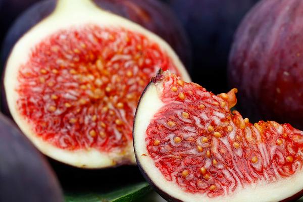 無花果可以催奶嗎