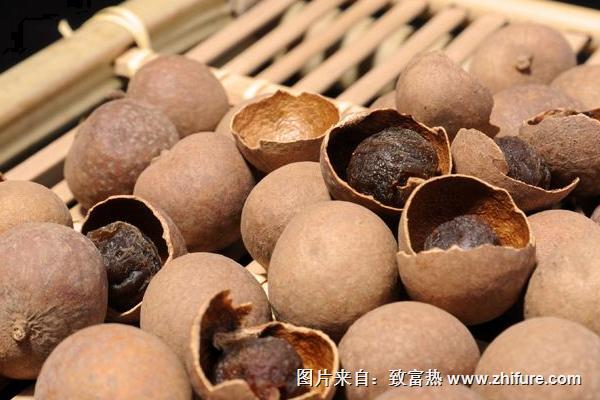 龍眼烘干機(jī)工作原理及價(jià)格