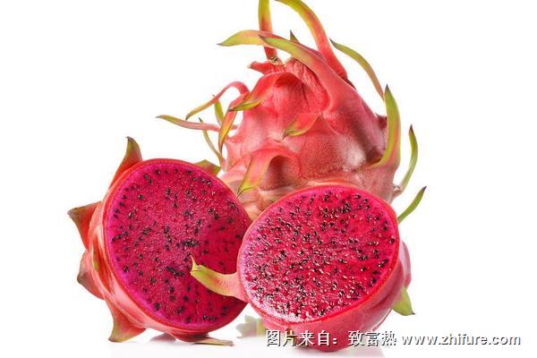 火龍果有幾種顏色