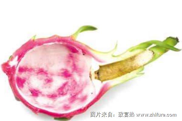 火龍果的皮有什么用
