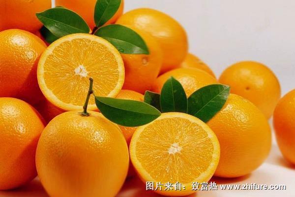 冰糖橙和臍橙的區(qū)別是什么