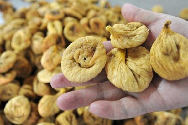 無花果深加工設備有哪些