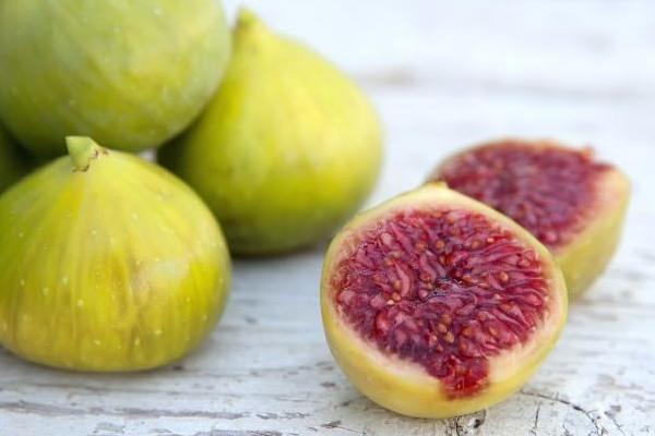 無花果深加工設備有哪些