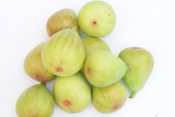 無(wú)花果一年結(jié)幾次果