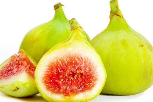 無(wú)花果一年結(jié)幾次果