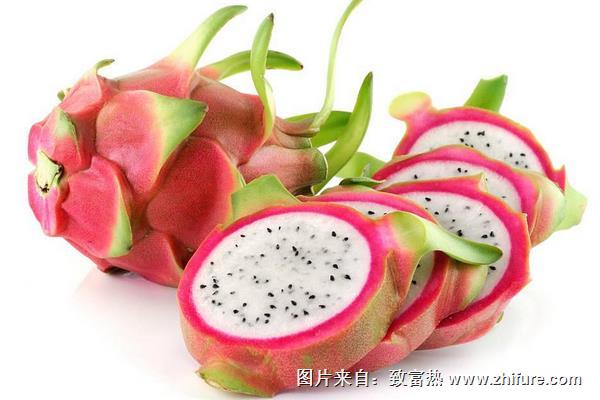 怎么挑選火龍果