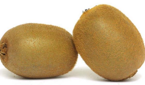 獼猴桃品種介紹