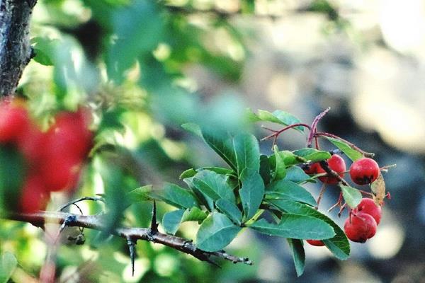 打破傳統(tǒng)生意“套路” 學(xué)學(xué)這些創(chuàng)意吧！