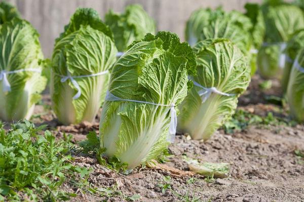 打破傳統(tǒng)生意“套路” 學(xué)學(xué)這些創(chuàng)意吧！