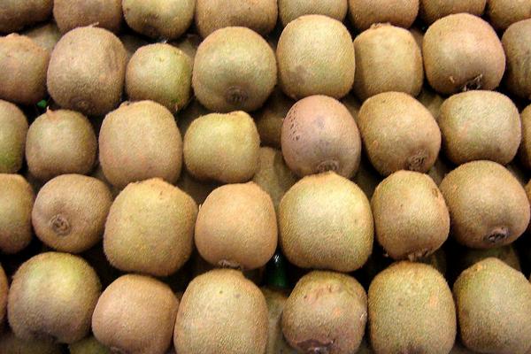 獼猴桃什么季節成熟