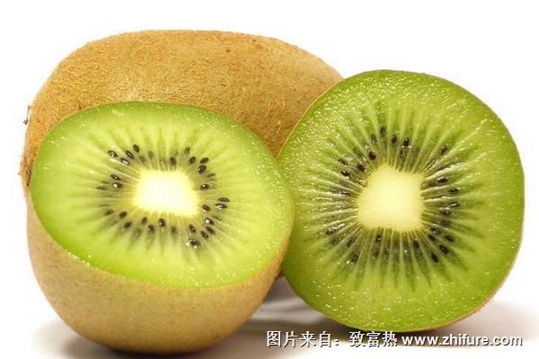 獼猴桃是寒性水果嗎