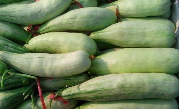 羊角脆甜瓜功效與作用