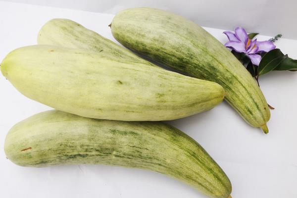 羊角脆甜瓜功效與作用