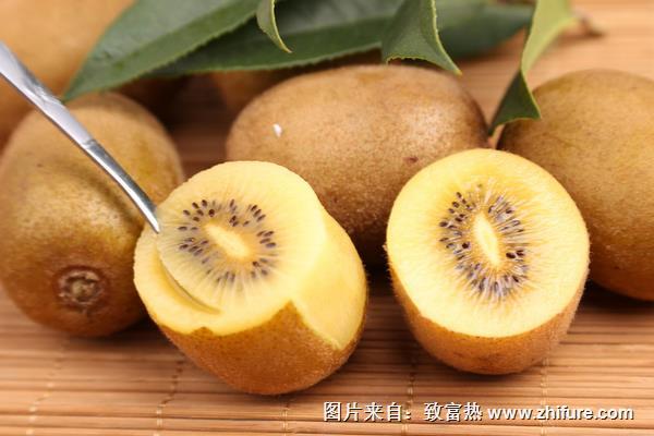 黃心獼猴桃圖片大全