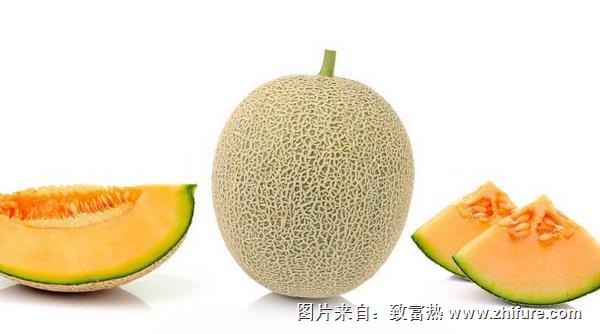 甜瓜產地是哪里