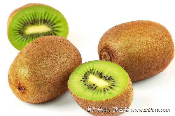 徐香獼猴桃特點是什么