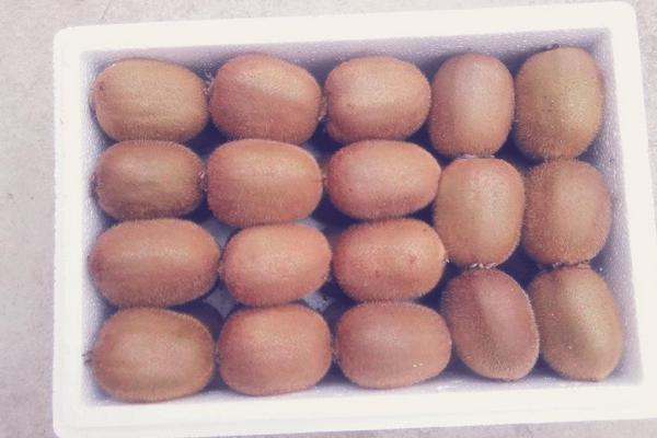 徐香獼猴桃特點是什么