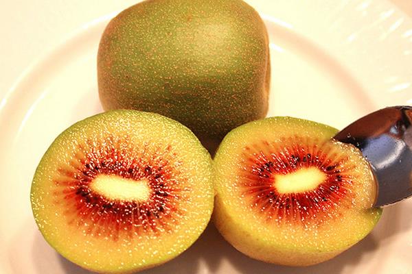 紅心獼猴桃孕婦能吃嗎