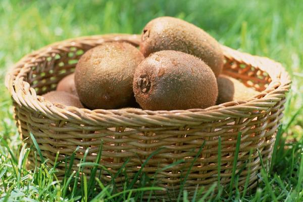 徐香獼猴桃圖片大全