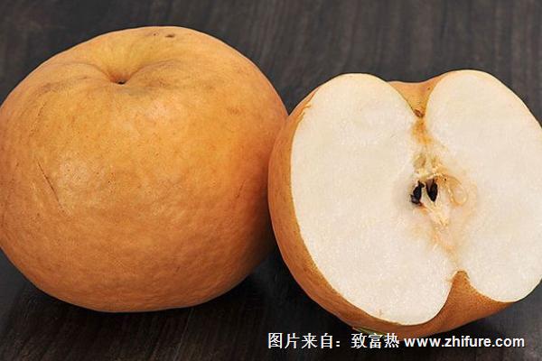 金果梨價格多少錢一斤