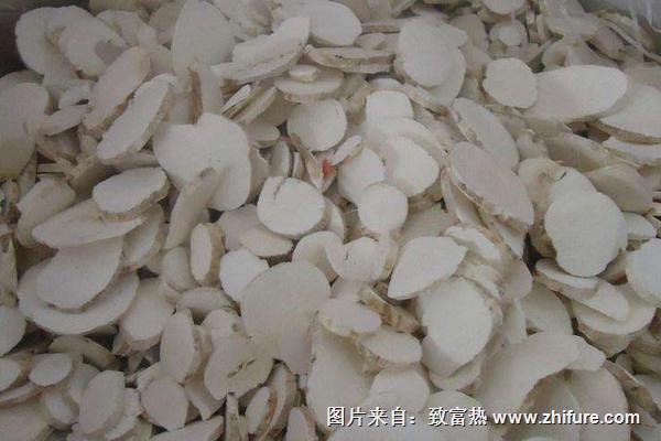 天花粉產地在哪里