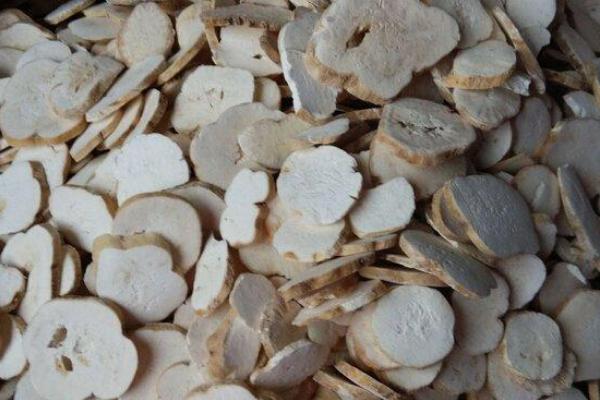 天花粉種子價格多少錢一斤