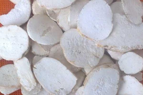 天花粉種子價格多少錢一斤