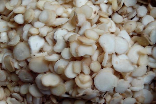 半夏塊莖腐爛病如何防治