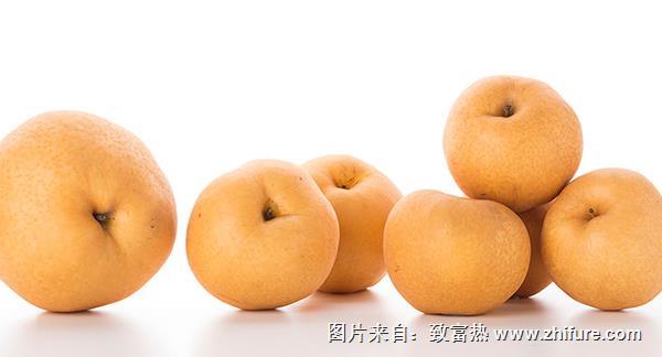 金果梨圖片大全